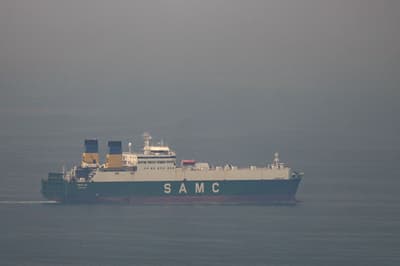 Trump criticises allies over reluctance to commit to Strait of Hormuz defence