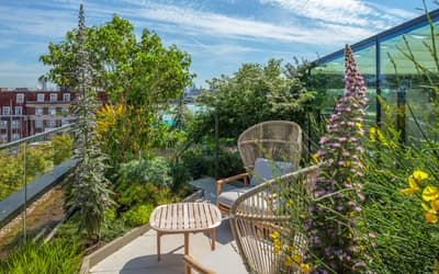 Ideas for tiny London gardens: mirrors, large plants and black paint
