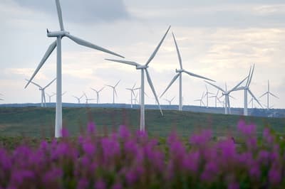 Fact check: Renewables Obligation already set to be reduced for three years