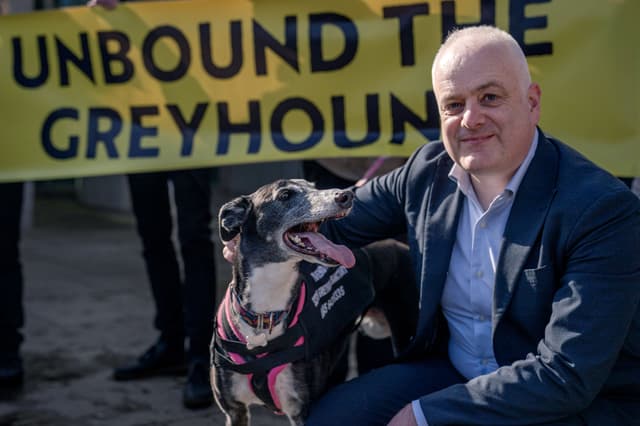 MSPs vote on greyhound racing ban a day after Senedd approves move