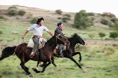 Seven ways to go on the holiday of a lifetime with cazenove+loyd