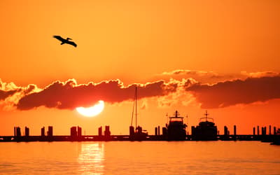 Miami to Key West: Drive the Overseas Highway through the Florida Keys