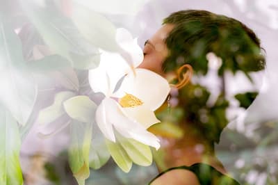 Best air fresheners for your home to banish odours