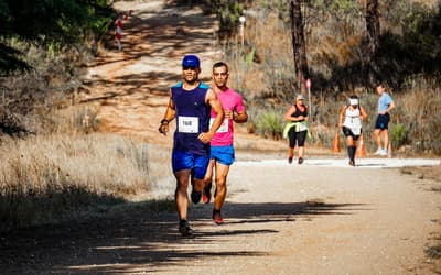 Best running shoe brands: New Balance to Adidas