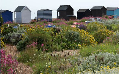 Escape the city! Five stunning spring walks you can reach by train